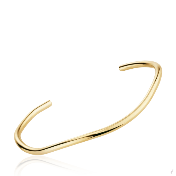 Bangle Hassu 2