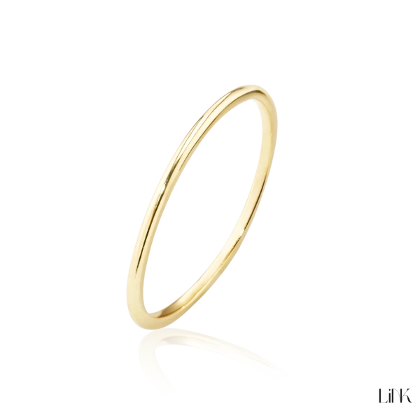 Anel Link 2