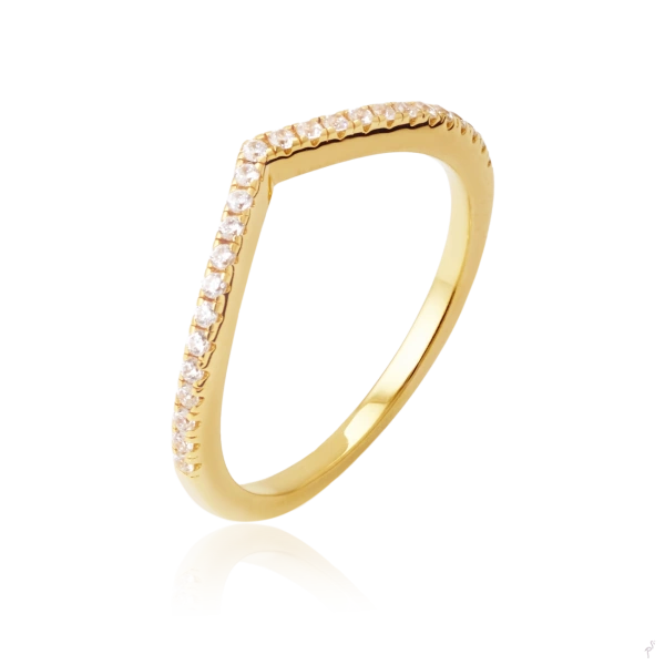 ANILLO LINK 2