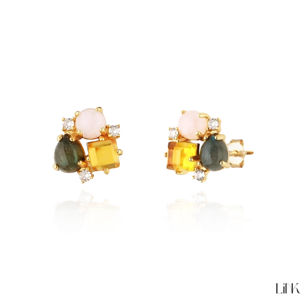 Brincos Link 2