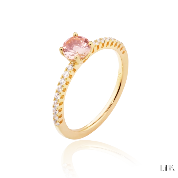 Anel Link 2