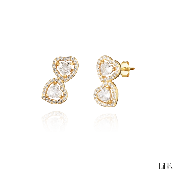 PENDIENTES LINK 2