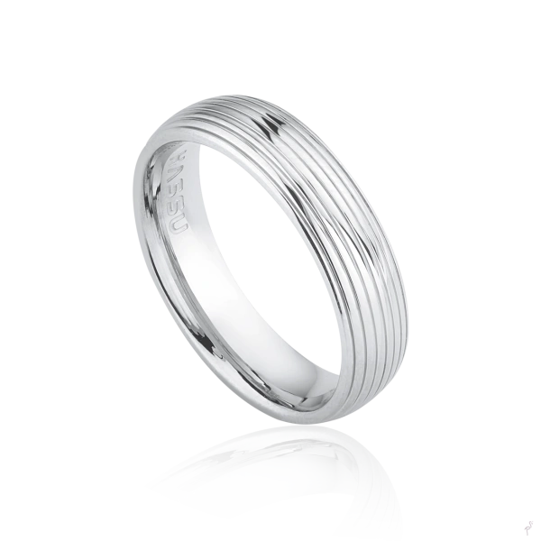 Ring Hassu 2