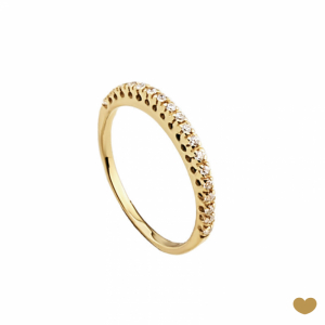 Anel Memória Passion Gold 9k 1