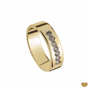 Aliança Passion Gold 9k - 5.3 mm 1