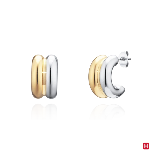 Earrings Hassu Golden 2