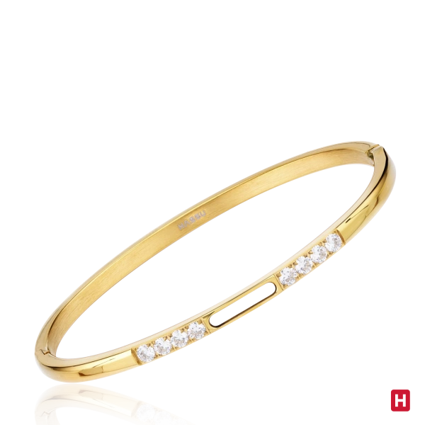 BANGLE HASSU 2
