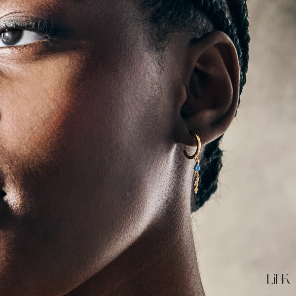Hoop Earrings Link 3