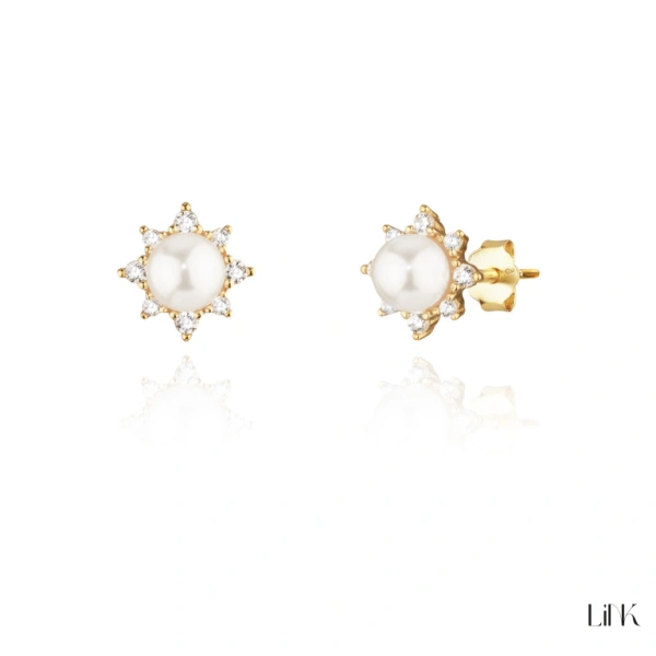 AROS LINK 1