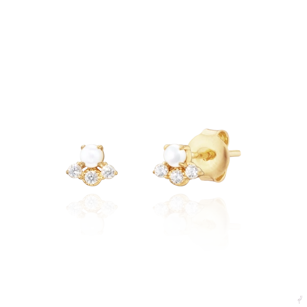 PENDIENTES LINK C/ CIRCONIAS 2