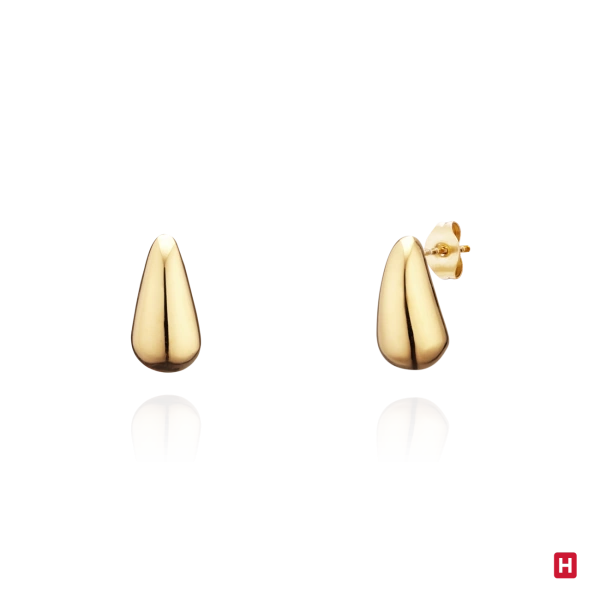 Earrings Hassu Golden 2