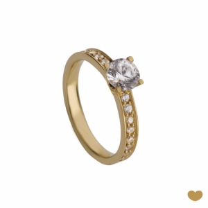 Anel Passion Gold 9k 1