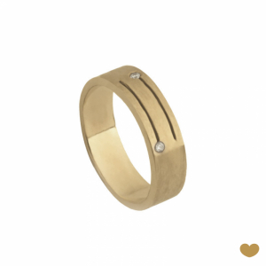 Aliança Passion Gold 19.2k - 5.8 mm 1