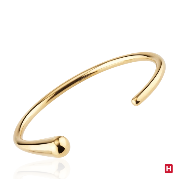 Bangle Hassu 2