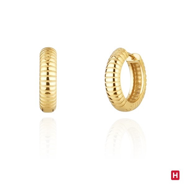 Earrings Hassu 2