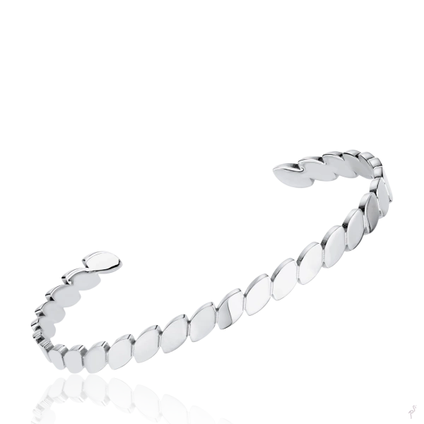 Bangle Hassu 2