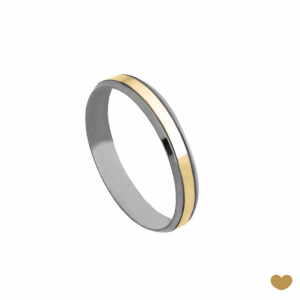 Aliança Passion Gold 19.2k - 3.7 mm 1