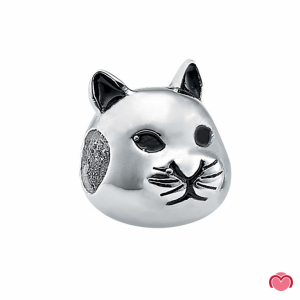 CUENTA EN PLATA - GATO 1