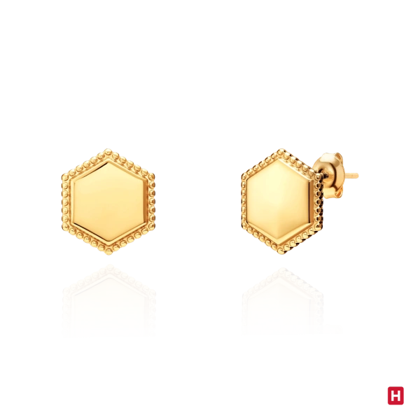 Earrings Hassu Golden 2