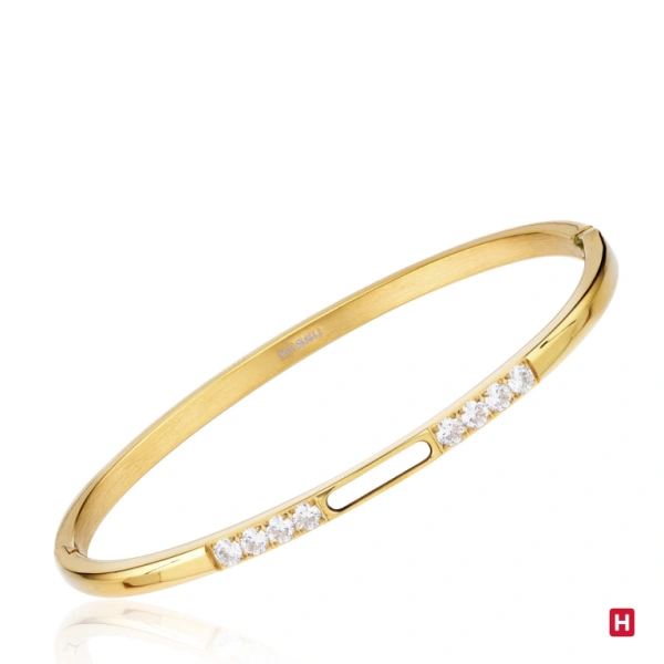 Bangle Hassu 1
