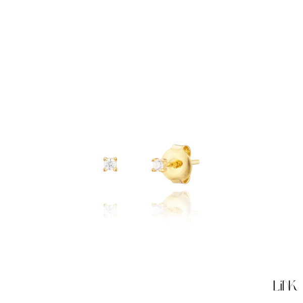 Brincos Link 2